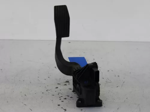 Gaspedaalpositie Sensor- (6589668)