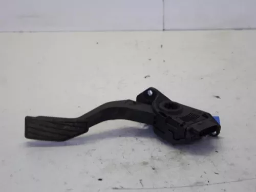 Gaspedaalpositie Sensor- (10235442)