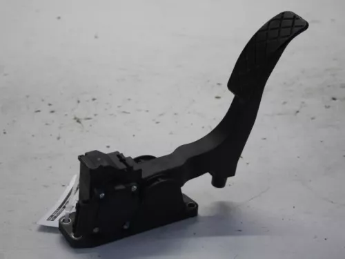 Gaspedaalpositie Sensor- (11135828)