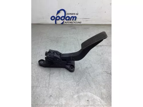 Gaspedaalpositie Sensor-8044524 (20433417)