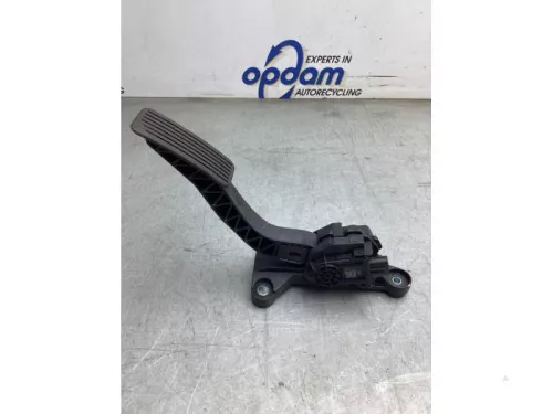 Gaspedaalpositie Sensor-8044524 (20433417)