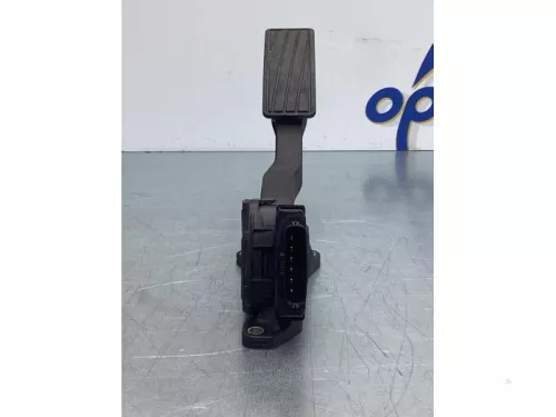 Gaspedaalpositie Sensor-6916819 (16980957)
