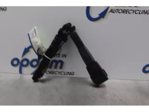 Gordelspanner rechts-7620546 (14414421)