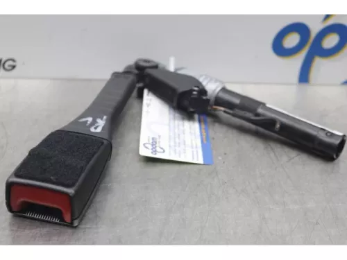 Gordelspanner rechts-7608861 (14767039)