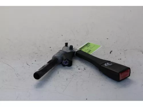 Gordelspanner rechts-7879050