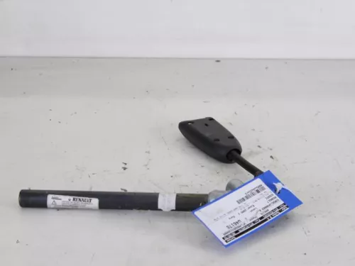 Gordelspanner rechts-7614792 (5216523)