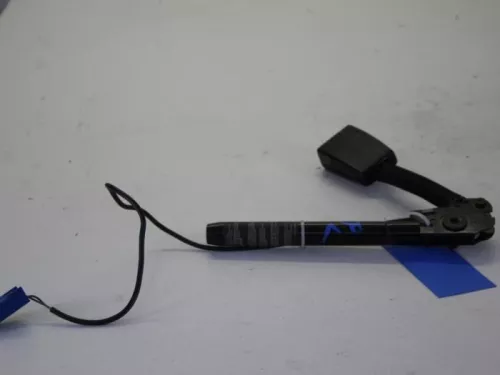 Gordelspanner rechts-7619865