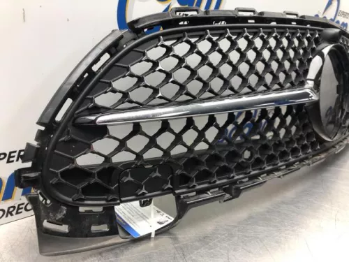 Grille- (19157827)