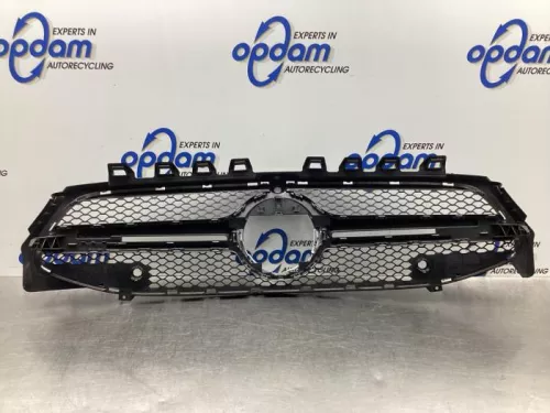 Grille- (19156420)
