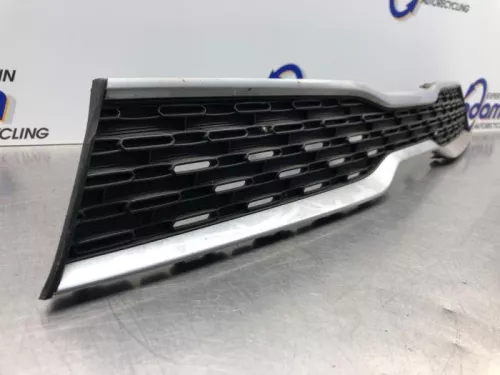Grille-8056784 (20751243)
