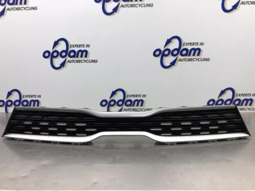 Grille-8056784 (20751243)