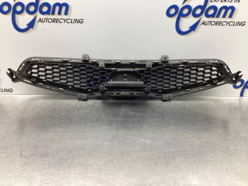 Grille-7919010 (17657983)