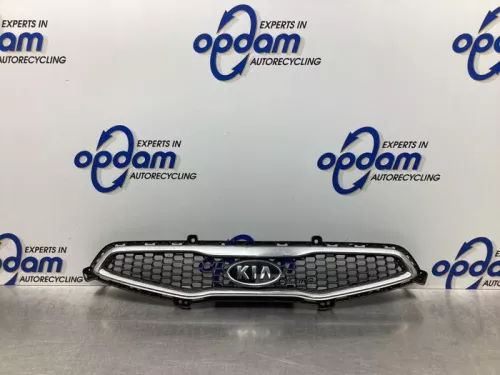 Grille-7919010