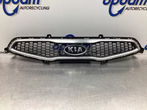 Grille-7919010 (17657983)