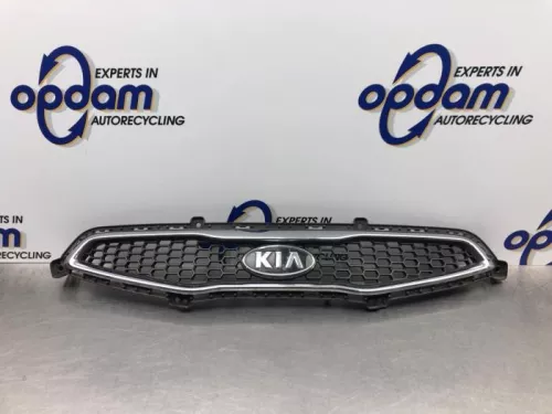 Grille-8118144 (21125514)