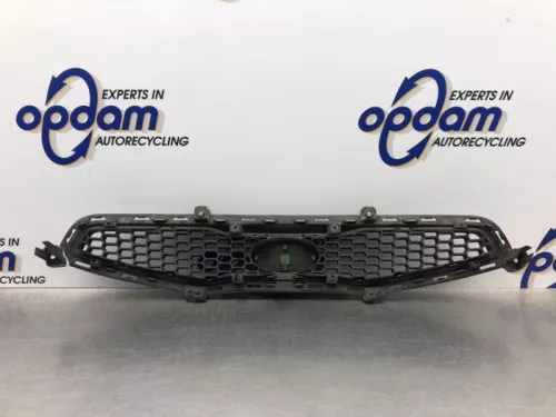 Grille-8118144 (21125514)