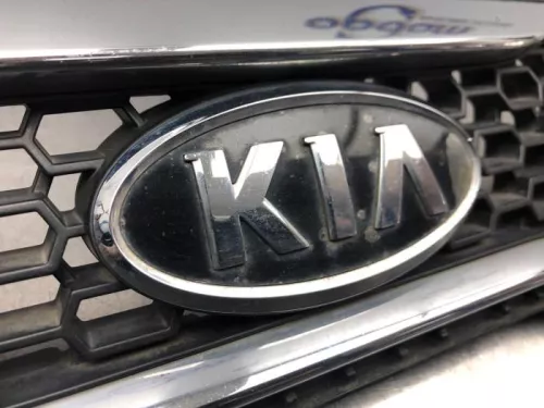 Grille-8118144 (21125514)