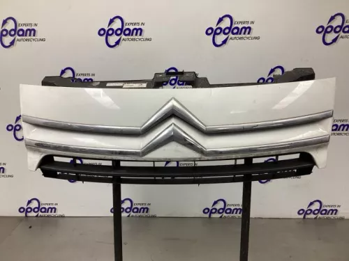 Grille-8266228 (21755839)