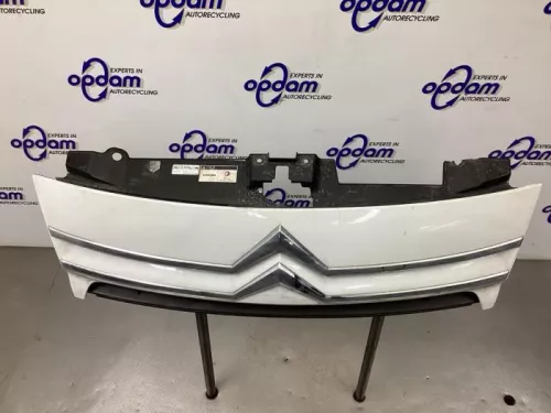 Grille-8266228 (21755839)