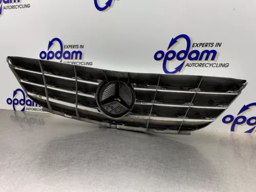 Grille-8274093 (21878242)