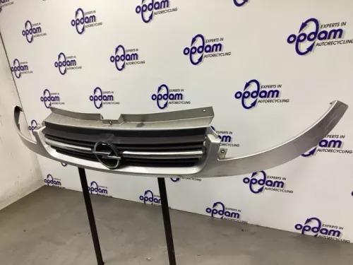 Grille-8213959 (21016402)