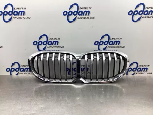 Grille- (19140484)