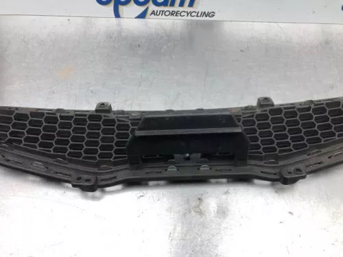 Grille-7915330 (17452811)