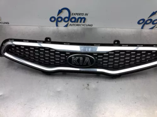 Grille-7915330 (17452811)