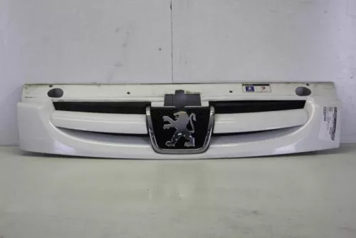 Grille-7883416 (9260075)