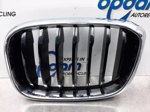 Grille- (16331934)