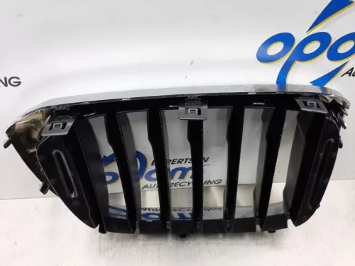 Grille- (16331934)