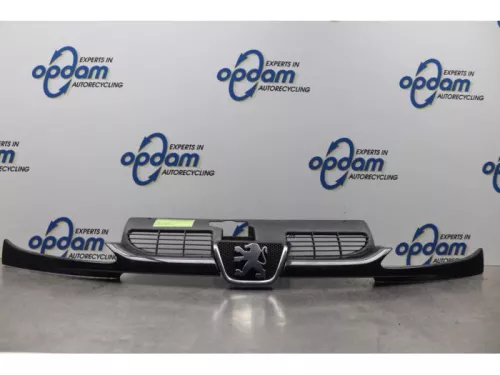 Grille-7739277 (14702253)