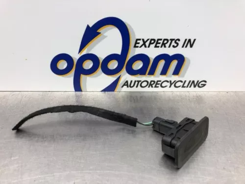 Handgreep Achterklep-8179030