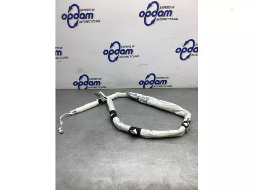 Hemel Airbag-8202418 (21250577)