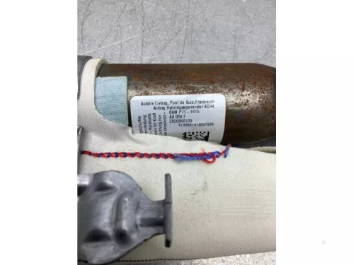 Hemel Airbag-7852033 (17152491)