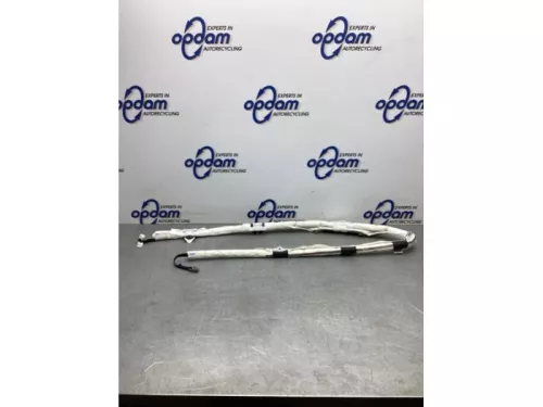 Hemel Airbag-8117442 (20516896)