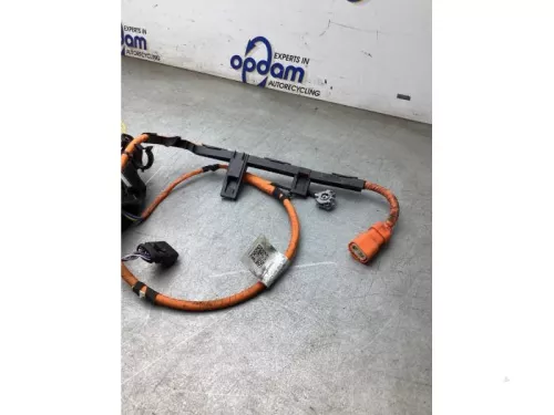 HV kabel (hoog voltage)-8282910 (22476768)