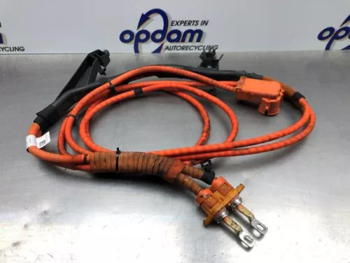 HV kabel (hoog voltage)-8103069 (20770532)