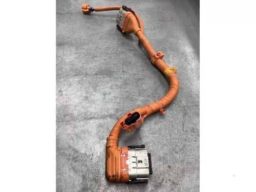 HV kabel (hoog voltage)-8035501 (19118697)