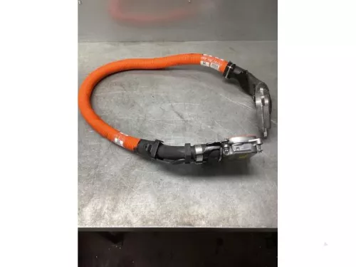 HV kabel (hoog voltage)-8095806 (20180079)
