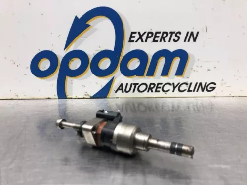 Injector (benzine injectie)-8029827 (19694841)
