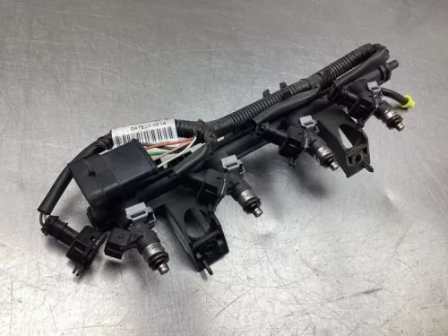 Injector (benzine injectie)-8080470 (19529685)