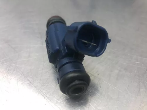 Injector (benzine injectie)- (19061067)