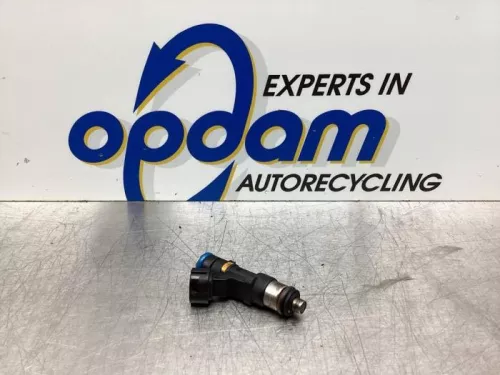 Injector (benzine injectie)-7918405 (19021955)