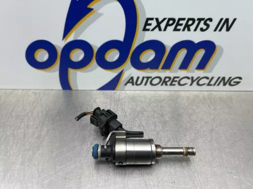 Injector (benzine injectie)-8170330 (22057799)
