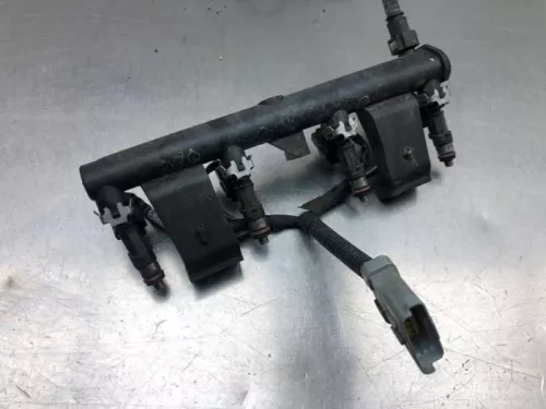 Injector (benzine injectie)-8109674 (20215329)