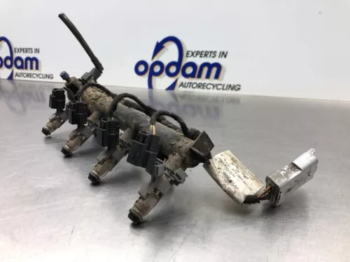 Injector (benzine injectie)-8227198 (21237090)