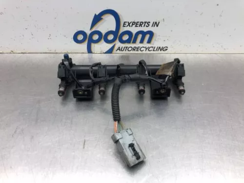 Injector (benzine injectie)-8144295 (20404333)