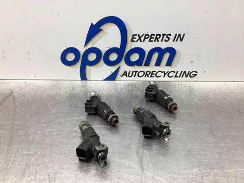 Injector (benzine injectie)-7977194 (18342076)