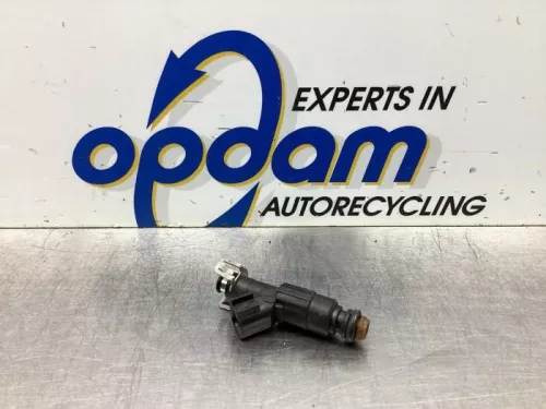 Injector (benzine injectie)- (21868525)